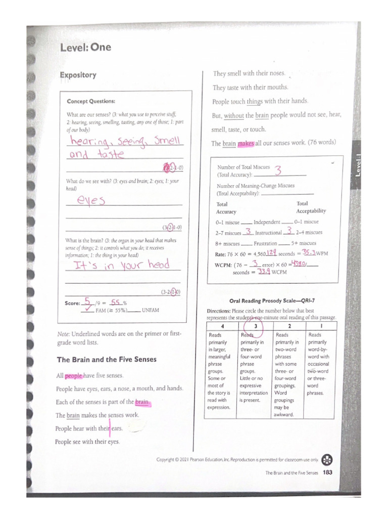 First Grade Expository Pdf