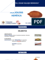 Fasciolosis Hepatica Stgo