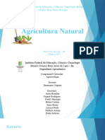 Agricultura Natural - Seminário