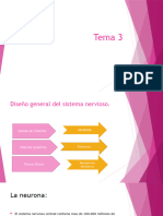 Anatomia Tarea 3