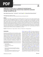 Application of Rotten Rice As A Substrate For Bacterial Species