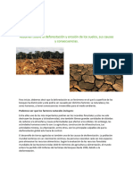 Resumen de La Deforestación