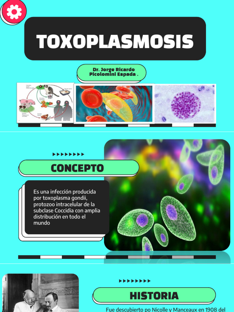 TOXOPLASMOSIS PDF