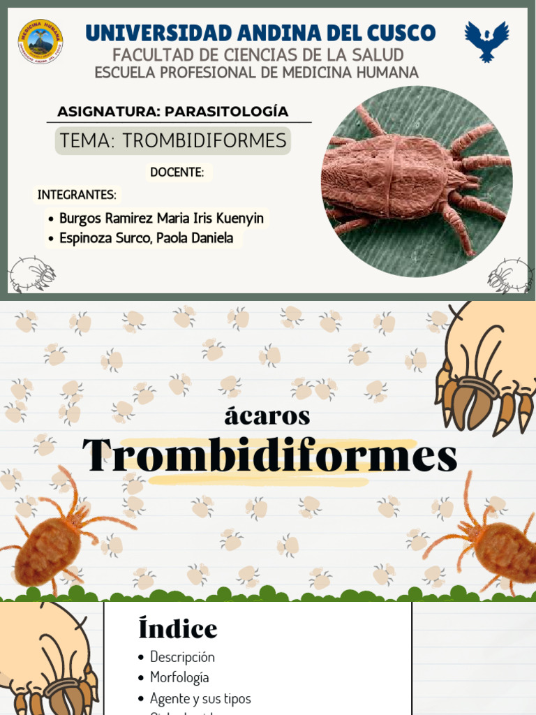 TEMA Trombidiformes_20231115_190129_0000 PDF