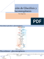 Regulación de Glucólisis y Gluconeogénesis