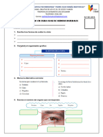 Tarea Extra Clase