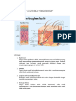 Anatomi Dan Fisiologi Kulit