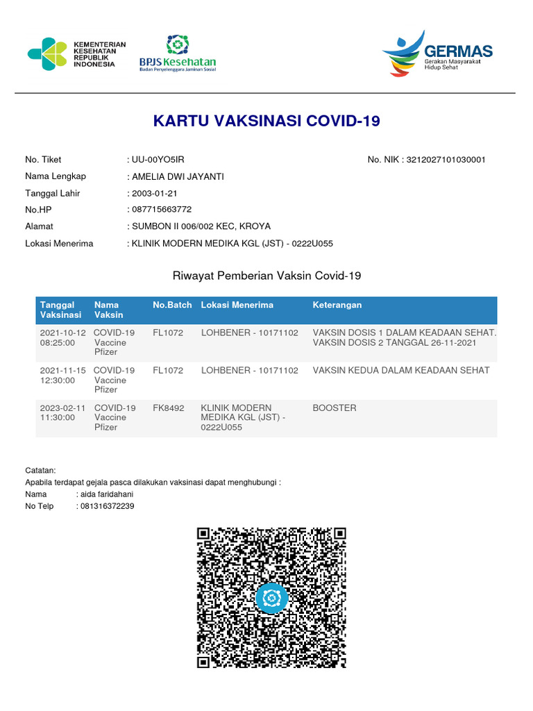 Amelia Dwi Jayanti V3 Pdf