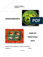 Invert2023 Guía Texto 1-4