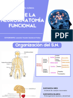 ABC de La Neuroanatomía Funcional - Leonela Sandoval Vales