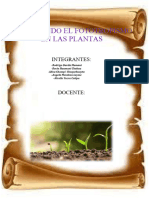 Analisis Del Fototropismo en Las Plantas XD (1) Op Htyh