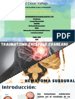 Informe Sobre Traumatismo Encéfalo Craneano, y Hematoma Subdural Informe Sobre Traumatismo Encéfalo Craneano, y Hematoma Subdural