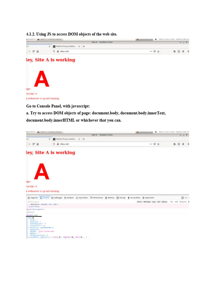 Lab SOP | PDF