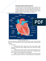 Anatomi Dan Fisiologi Kardiovaskuler