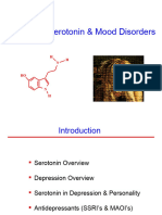 Lecture Serotonin Depression - 2021