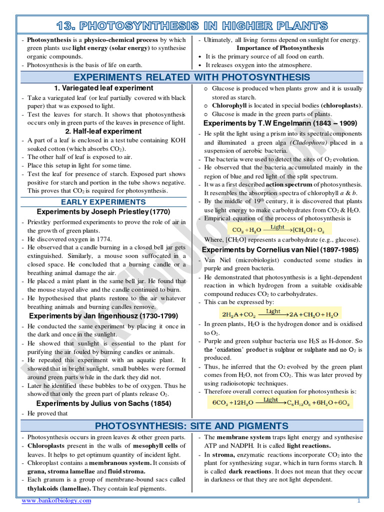 Photosynthesis Experiments Explained | PDF | Foreign Language Studies