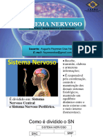 07 - Sistema Nervoso