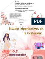 Presentacion Salud Del Cuerpo Humano Ilustracion Rosa