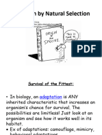 Evolution by Natural Selection