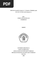 Download Biologi-Carpophilus-hemipterus-L-Coleoptera_-Nitidulidae-pada-kacang-tanah-Arachis-hypogaea-L by Ricky Putra Asz SN69184486 doc pdf