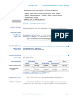 CV - Model Shqip Euro Pas