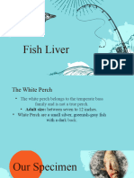 Fish Liver