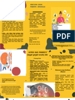 PDF Leafleat Penkes CKD Kel1 Compress