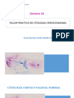 S16 Taller de Citologia-Parte I