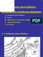 2023-2024 BC Sã©ance 2 (Sans Animations)