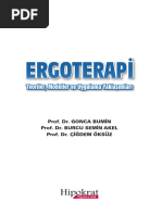 00 Ergoterapi Teoriler 1565434103