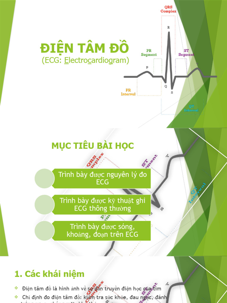 TH C Hành ECG | PDF