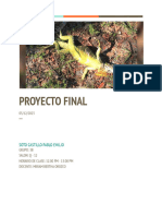 Final Proyecto Soto