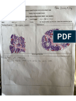 Laprak PA CVS - 79 - Azka Dzikry F - Compressed