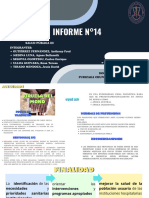 Informe SP 14