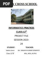 PDF Document