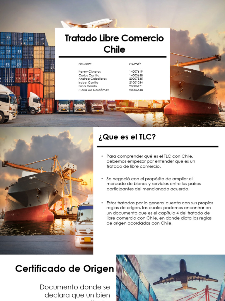 Comercio Internacional TLC Chile PDF Exportaciones Economias