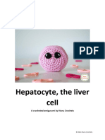 Hepatocyte