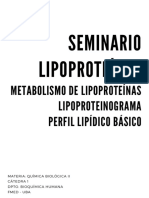 Seminario - Metabolismo de Lipoproteínas - Texto - 2023
