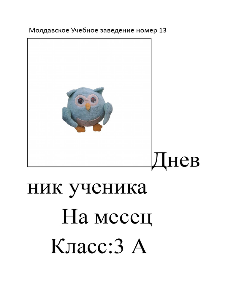 Молдавское Учебное Заведение Номер 13 | PDF