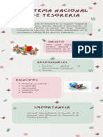 Infografia - Sistema Nacional de Tesoreria