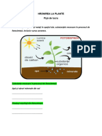 A Hranirea La Plante