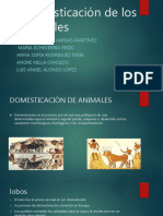 Domesticacion Animal