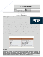 Microsoft Word - Texto Informativo 03 - Formas de Processamento e Armazenamento de Plantas Medicinais