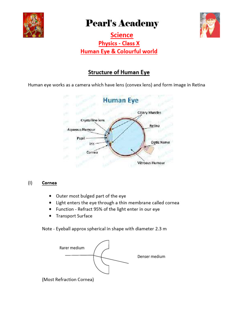 Human Eye Structure and Vision Defects | PDF | Eye | Human Eye