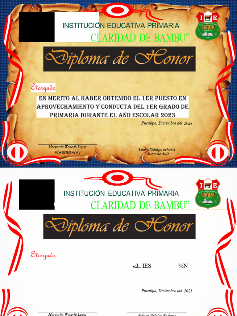 Diploma 2024 PDF
