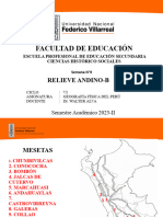 1.b.relieve Andino