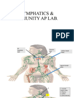 Lymphatics. Lab Pics 1