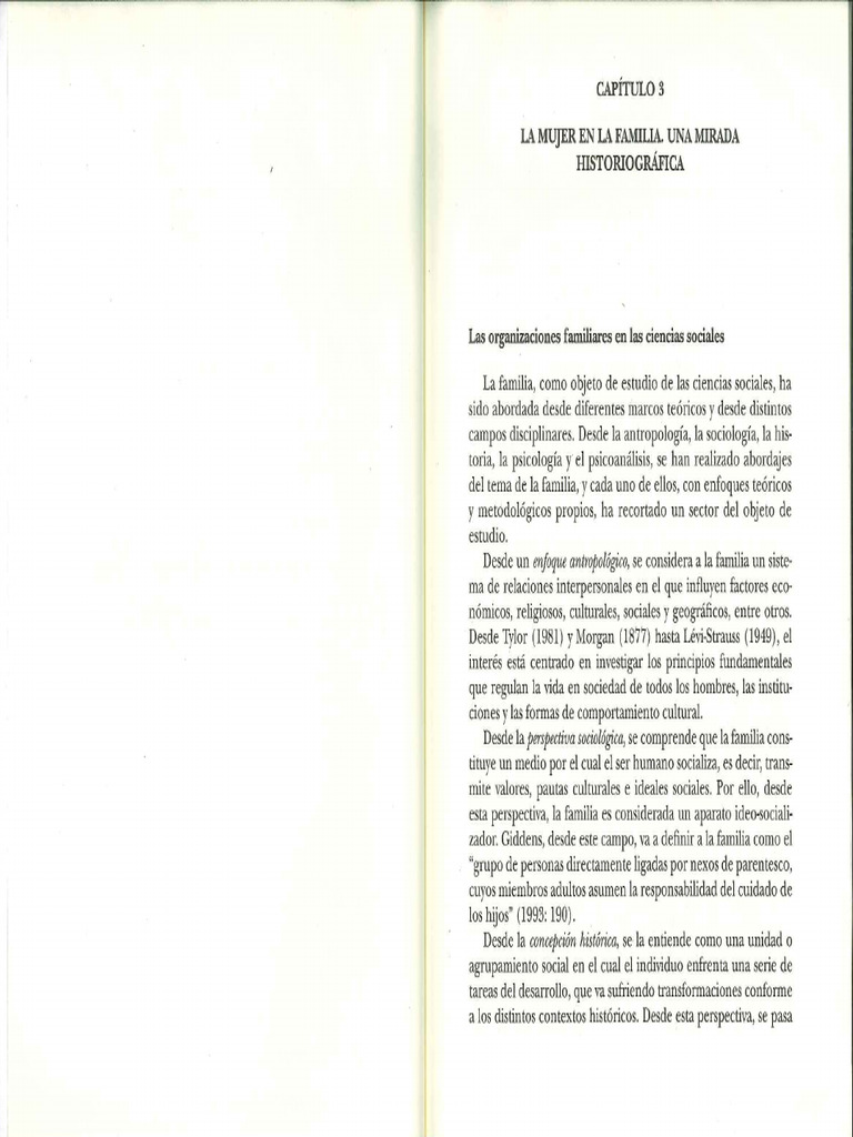 08 Cohen Imach - Cap. 3 | PDF