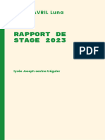 Vert Et Jaune Minimaliste Monotone Entreprise ODD Rapport D'avancement