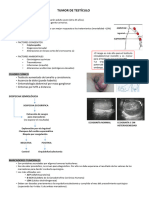 Tumor de Testículo